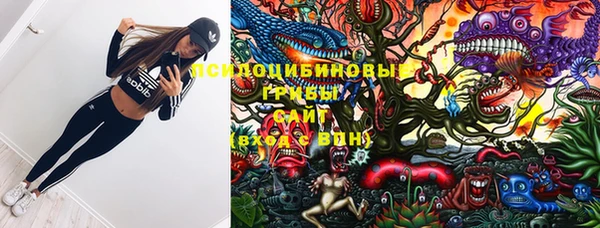 тгк Алексин