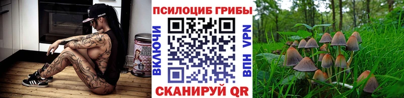 Галлюциногенные грибы мицелий  купить наркотики сайты  Карачев 